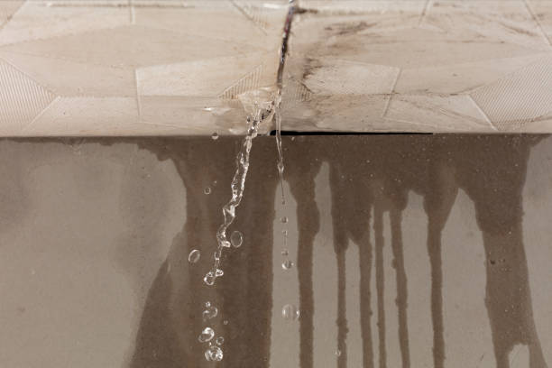 Professional Flood Damage Cleanup technician working in Helenville, WI